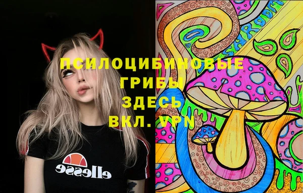винт Карпинск