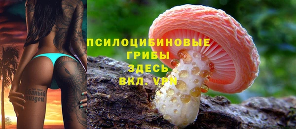 PSILOCYBIN Кинешма