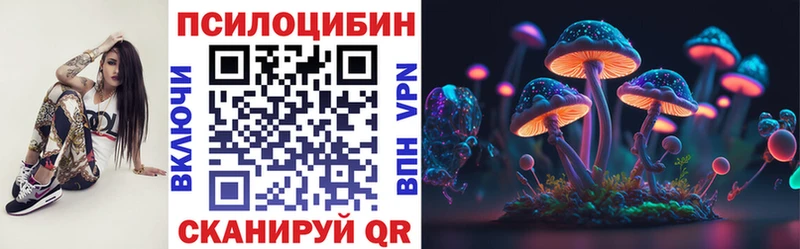 Галлюциногенные грибы GOLDEN TEACHER  купить наркоту  mega вход  Кыштым 