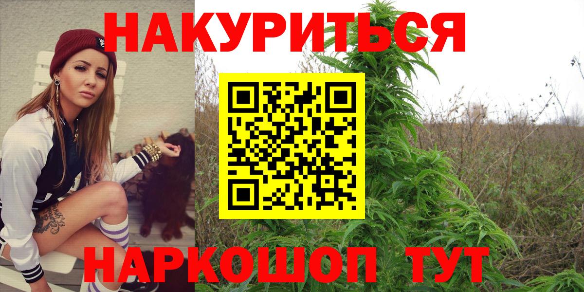 Канабис OG Kush Кыштым